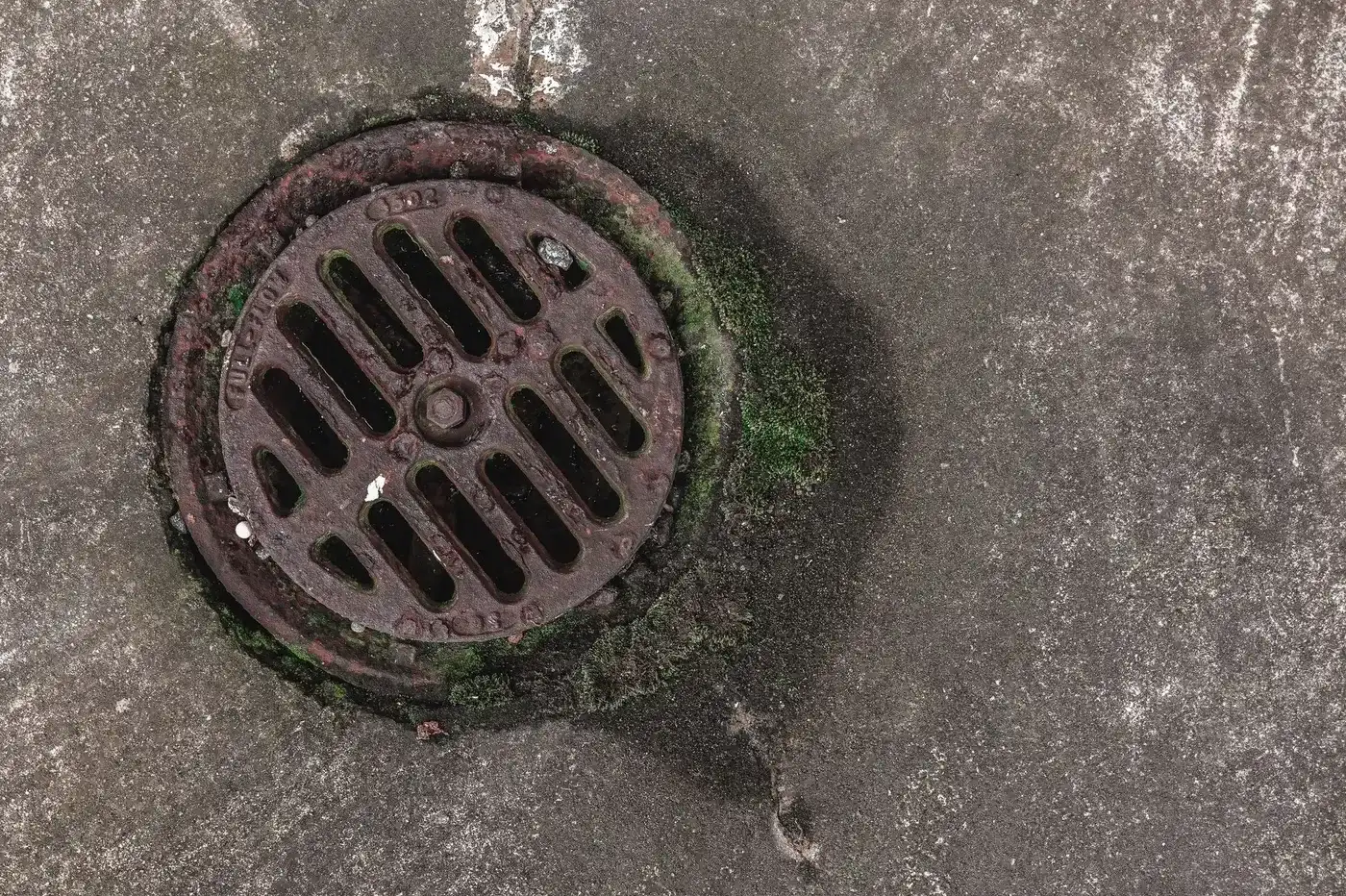 A round metal storm drain cover set in concrete.